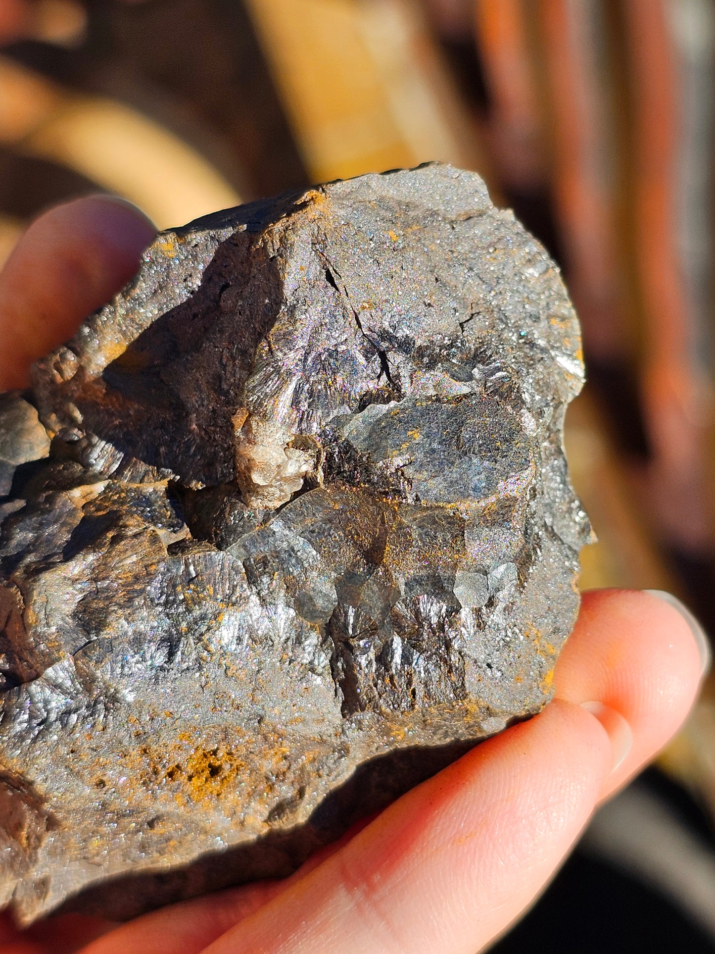 Hématite botryoïdale brute H5