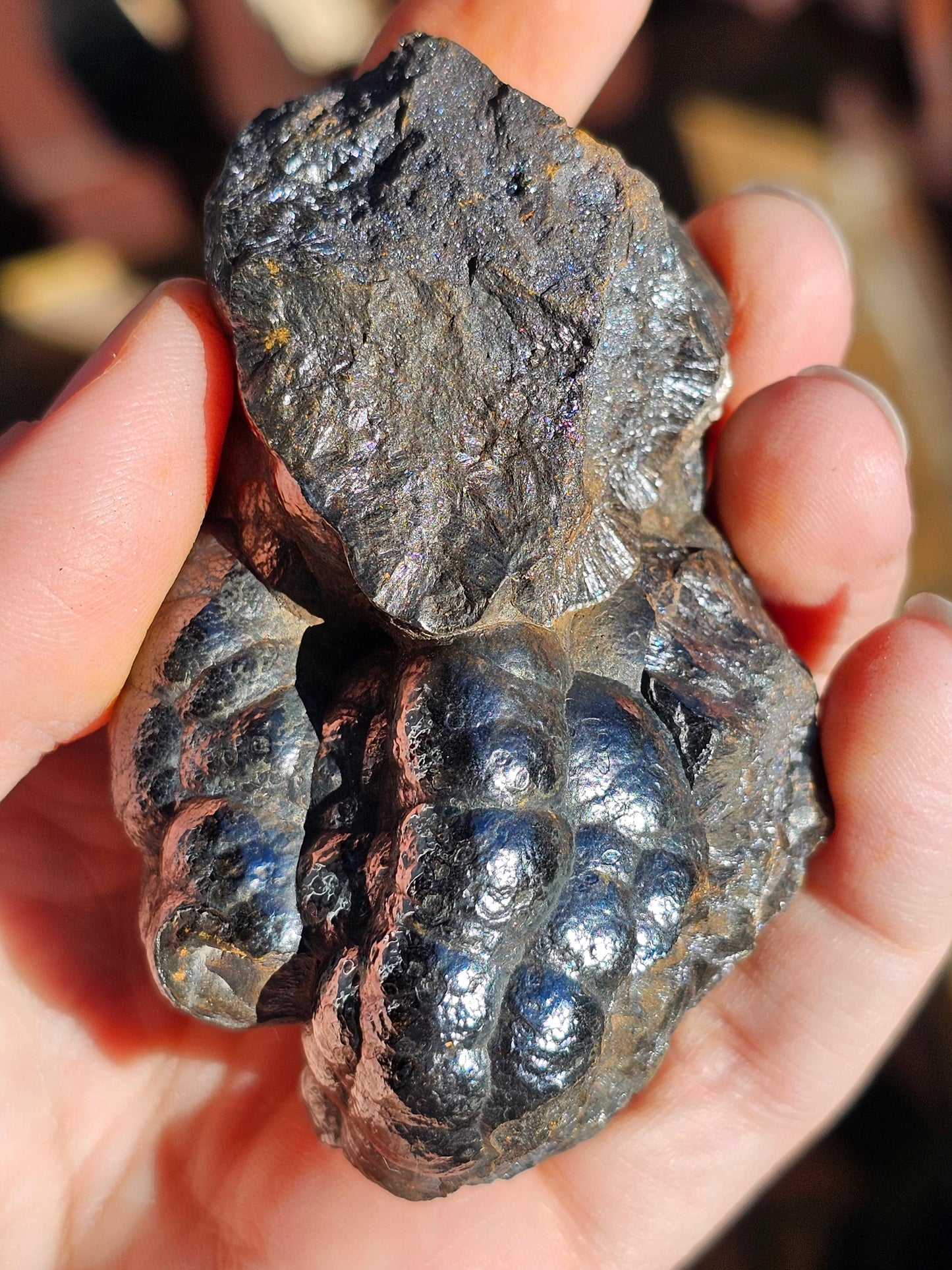Hématite botryoïdale brute H5