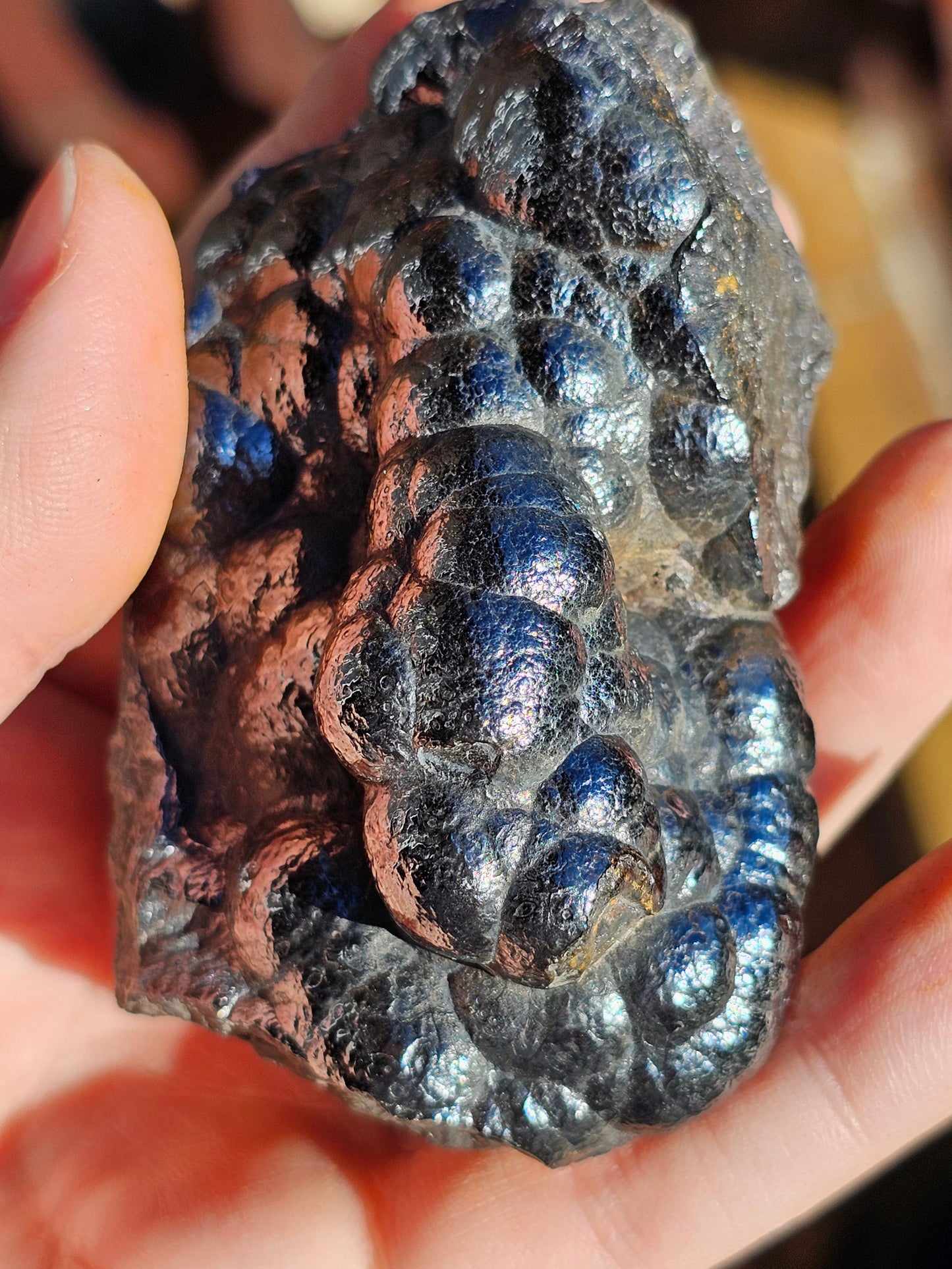 Hématite botryoïdale brute H5