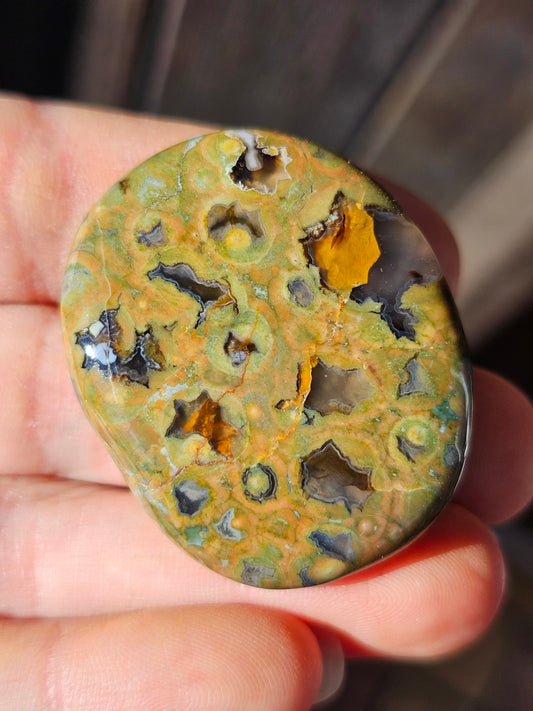 Galet plat de Rhyolite (à choisir)