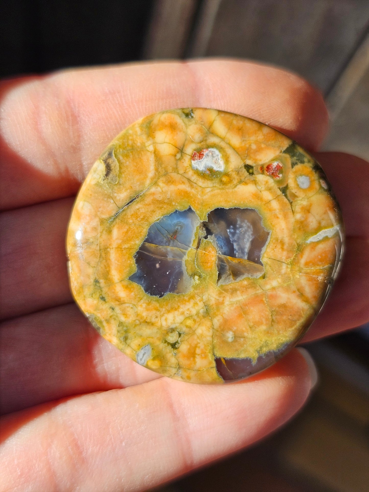 Galet plat de Rhyolite (à choisir)
