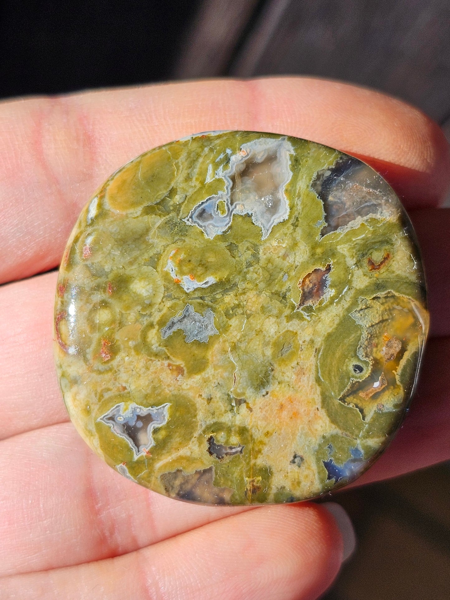 Galet plat de Rhyolite (à choisir)