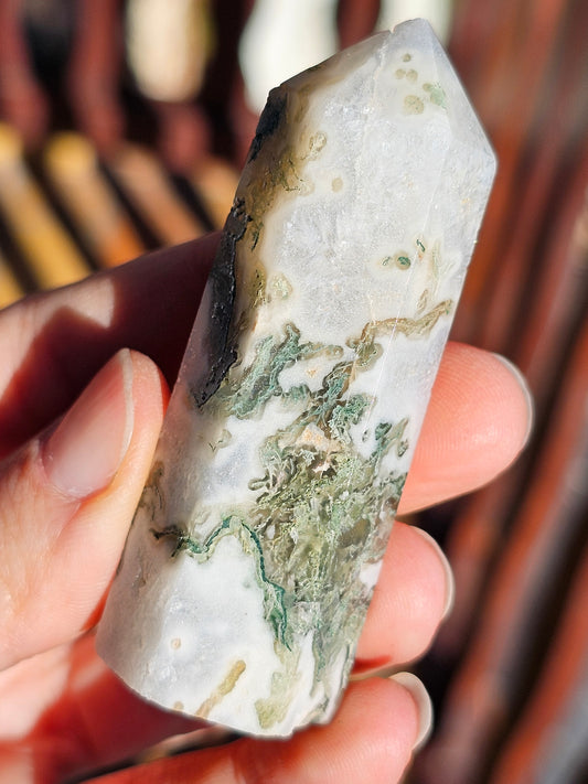 Pointe Agate mousse n°3