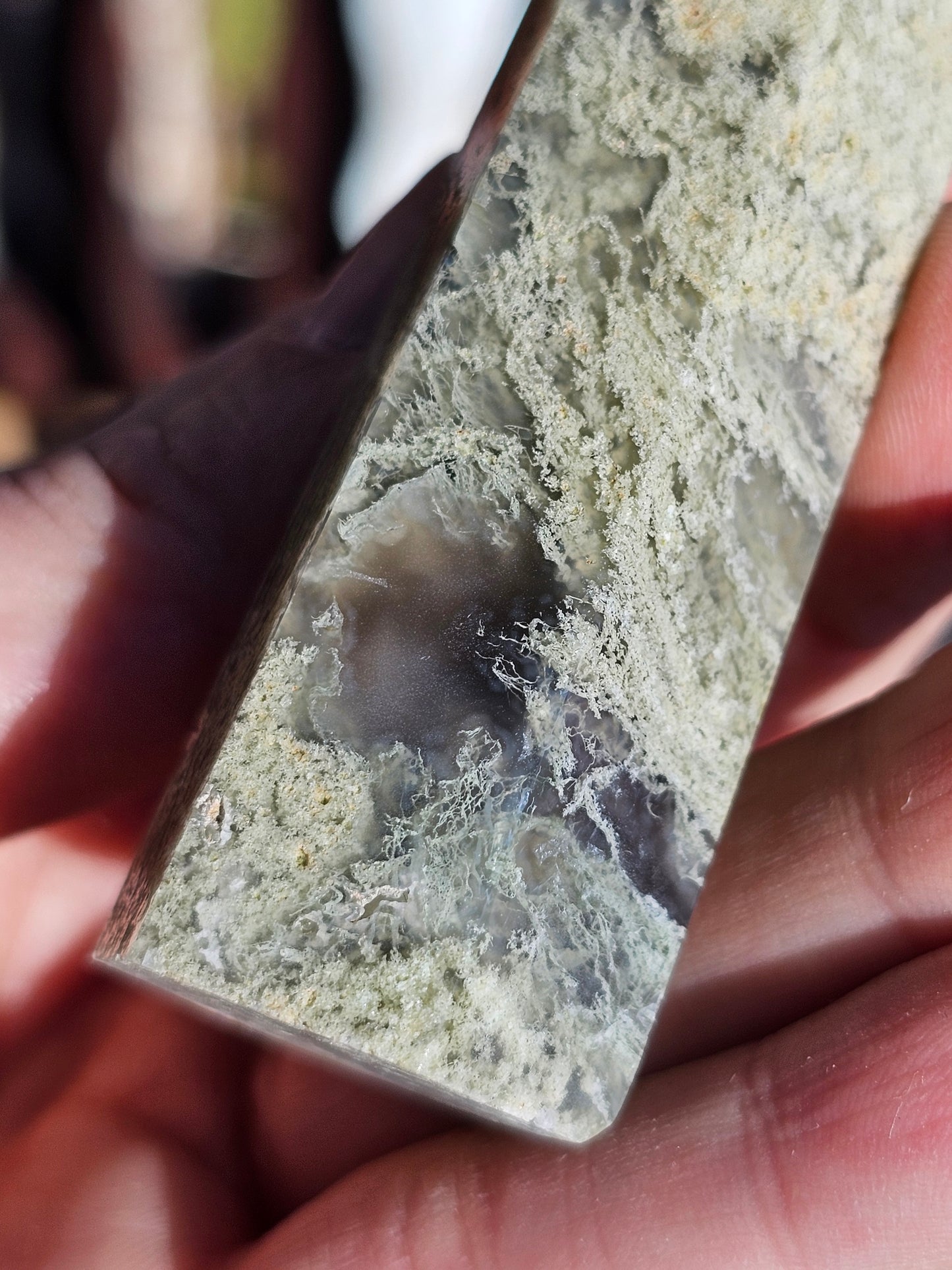Pointe Agate mousse n°9