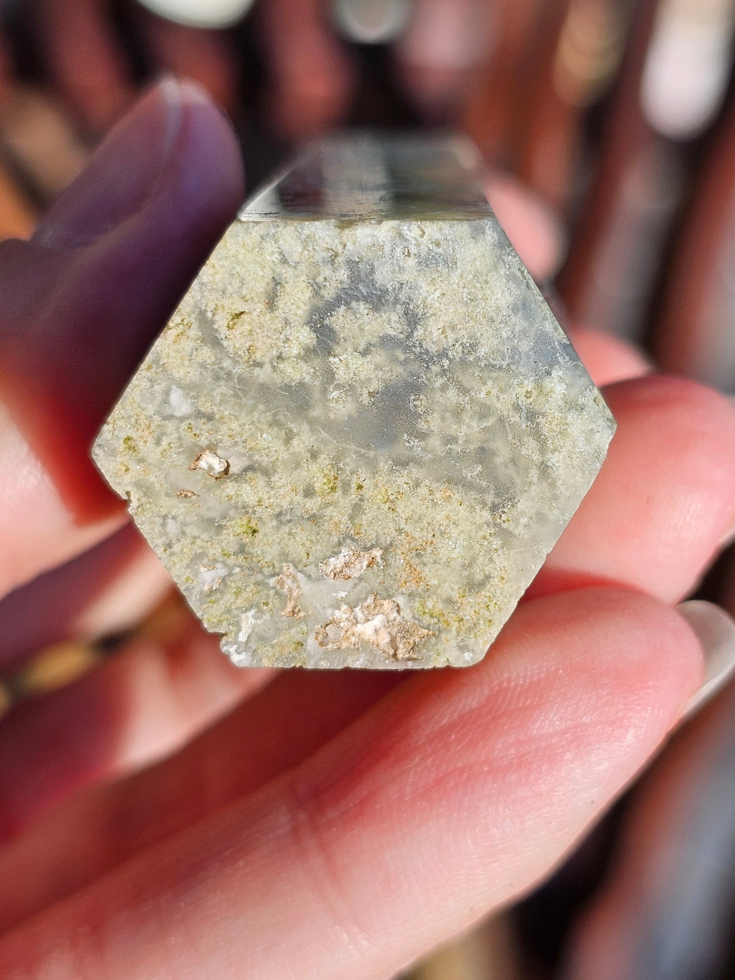 Pointe Agate mousse n°9