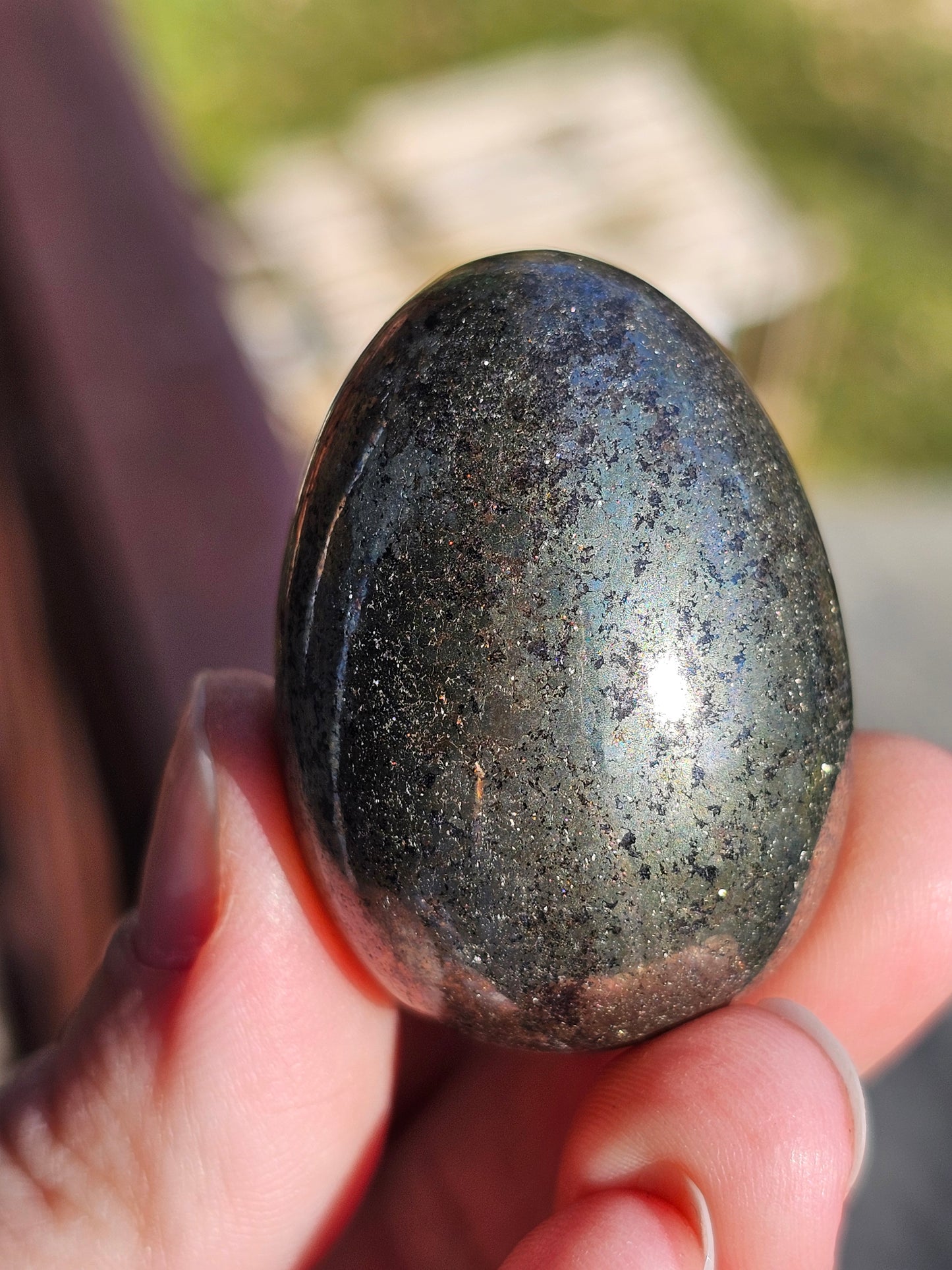 Œuf en Pyrite (à choisir)