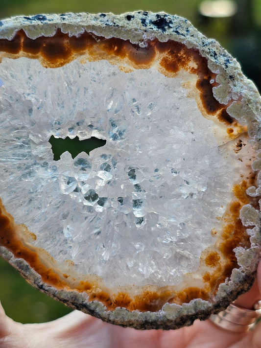 Tranche d'Agate du Brésil H