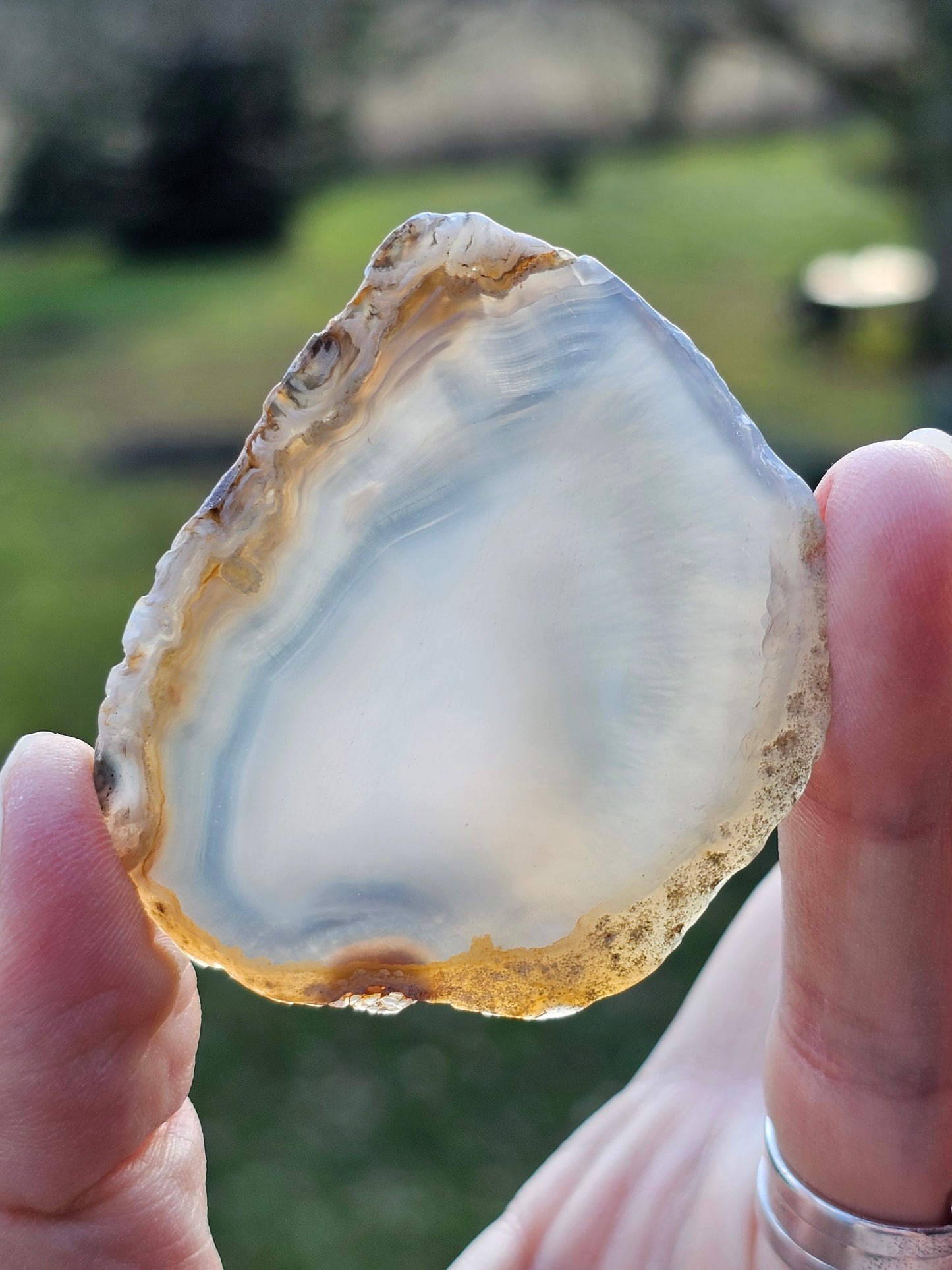 Tranche d'Agate du Brésil D