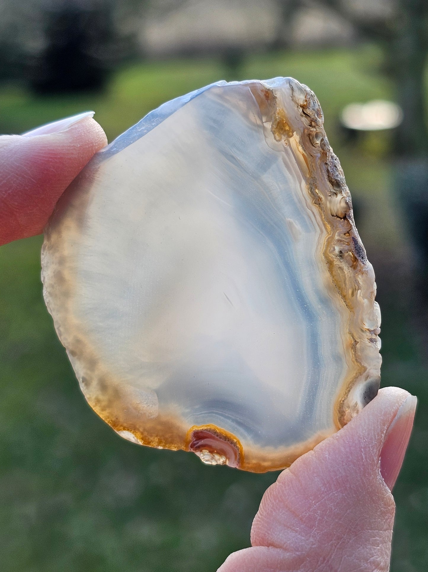 Tranche d'Agate du Brésil D