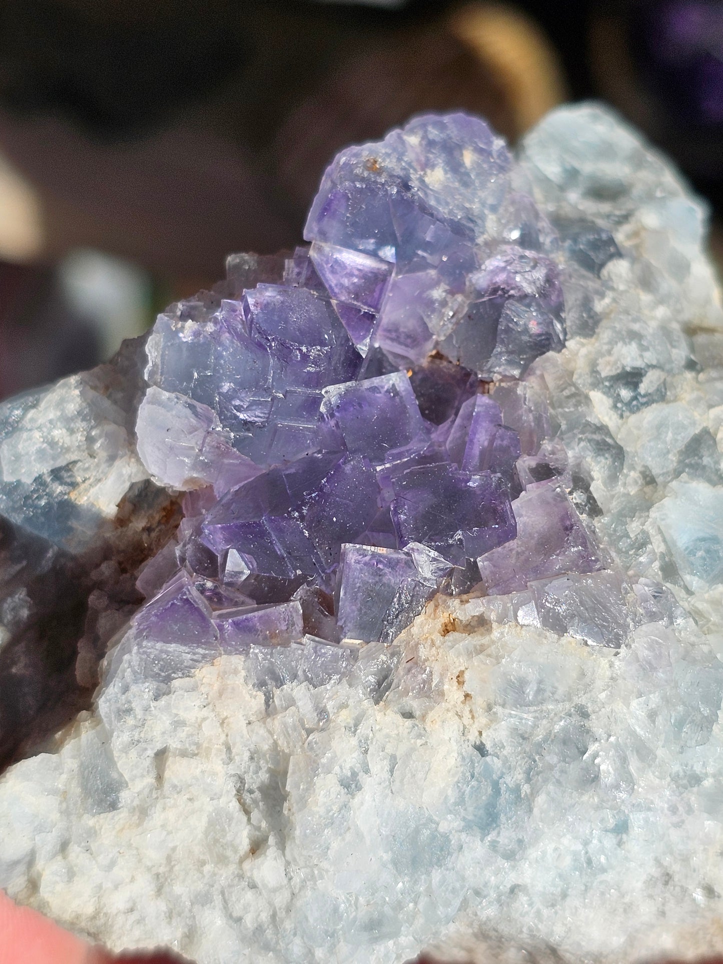 Fluorite de Berbes A