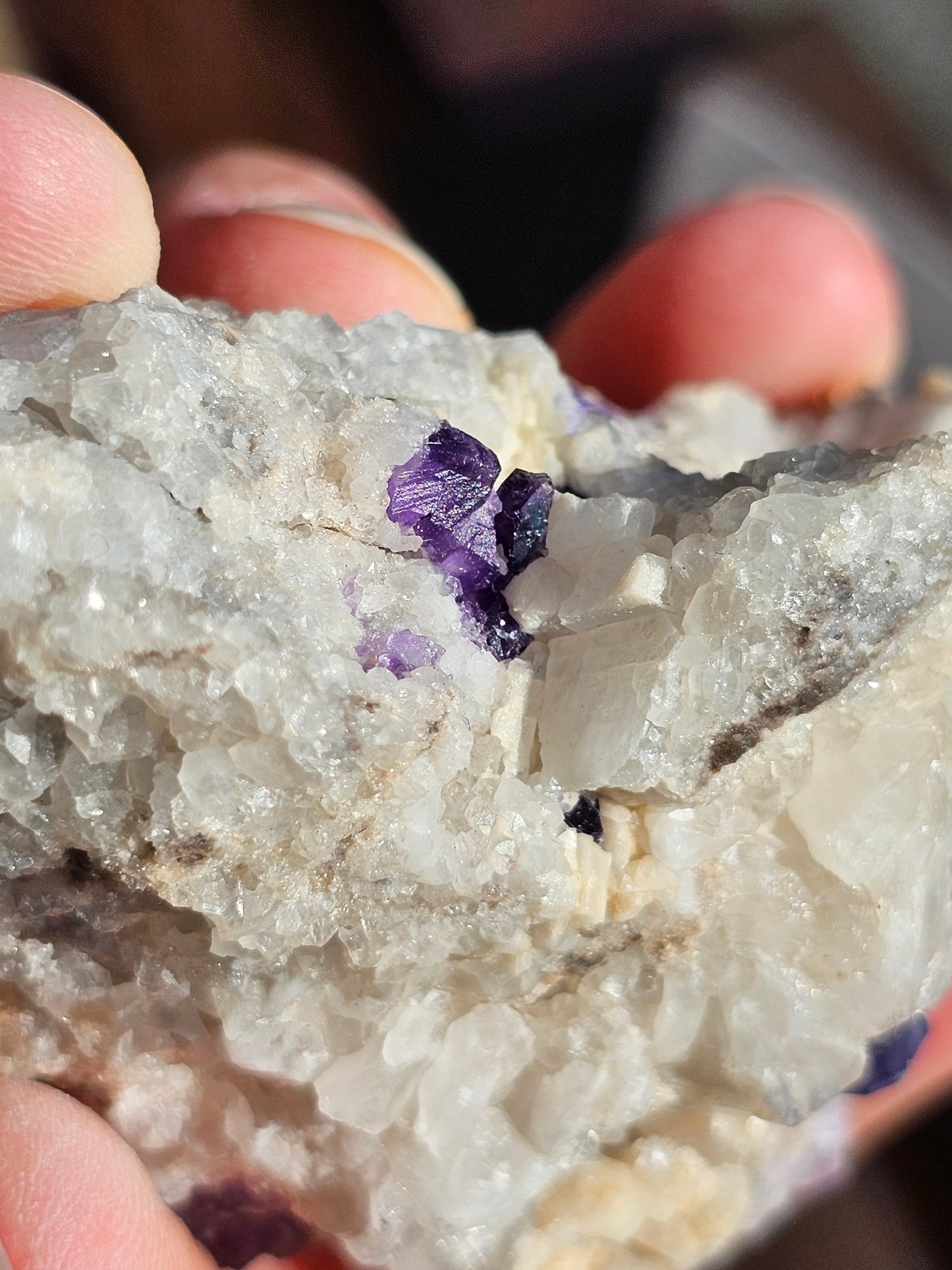 Fluorite de Berbes G