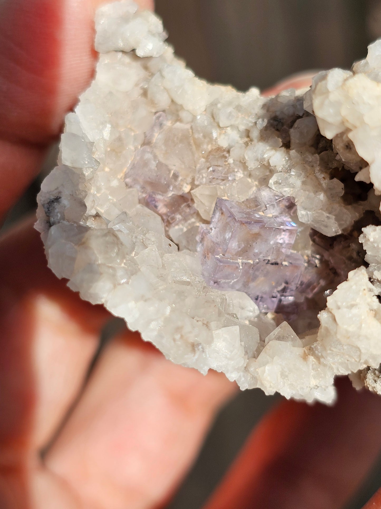 Fluorite de Berbes H