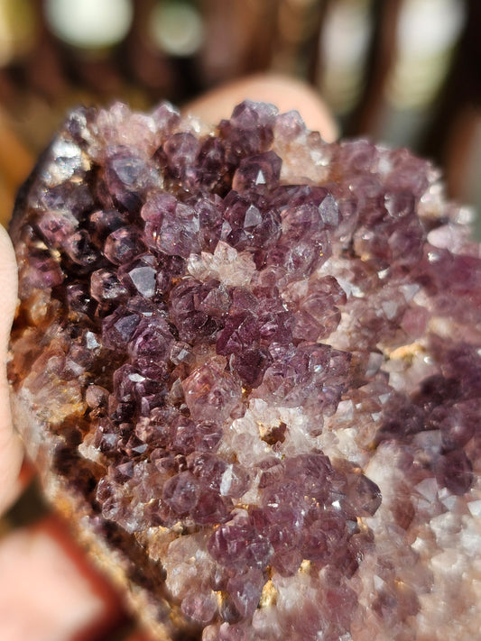 Améthyste Alacam AA2