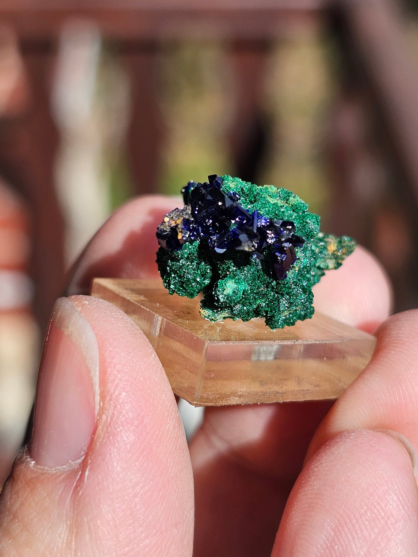 Azurite Malachite du Maroc AZ2