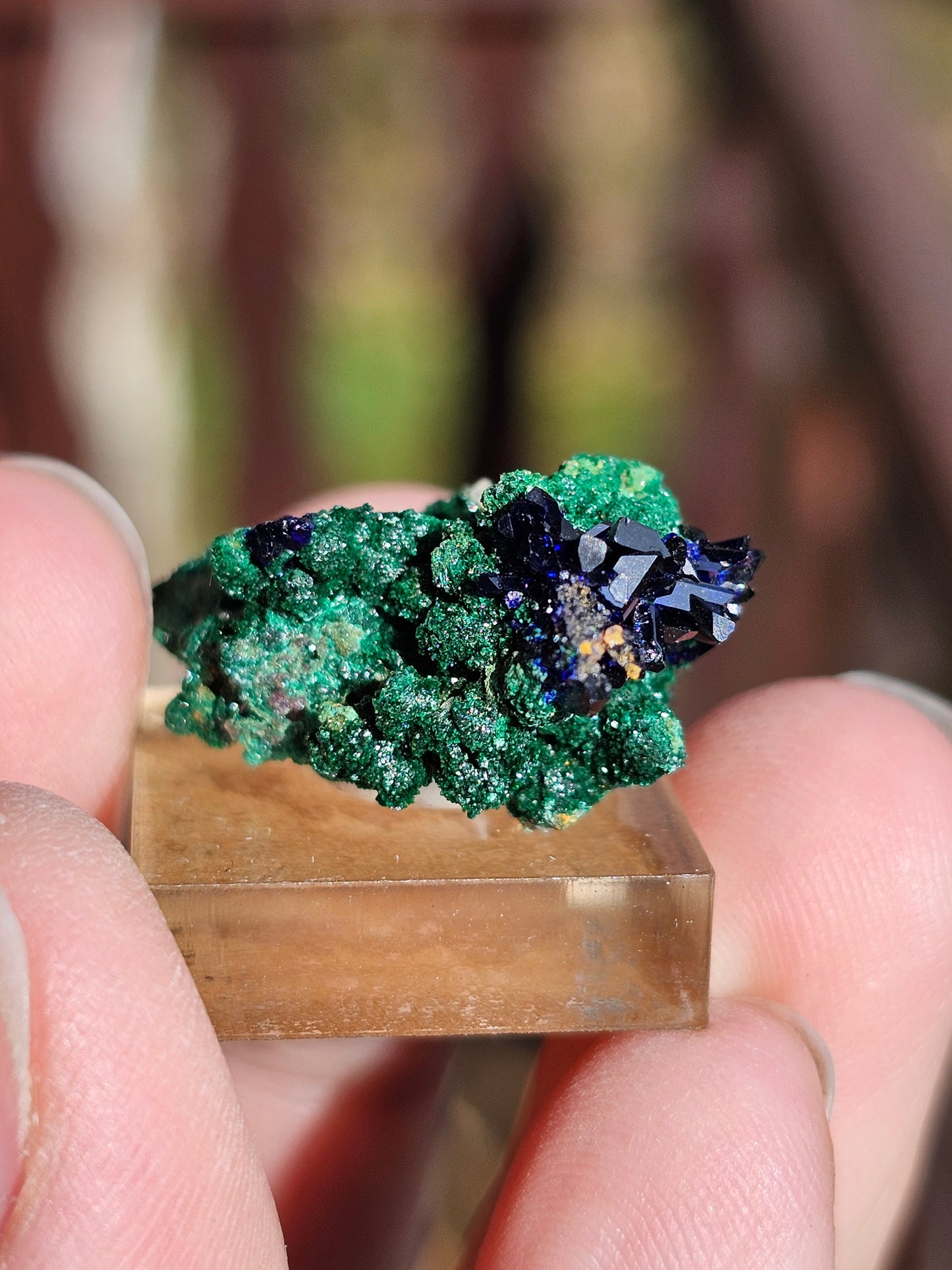 Azurite Malachite du Maroc AZ2