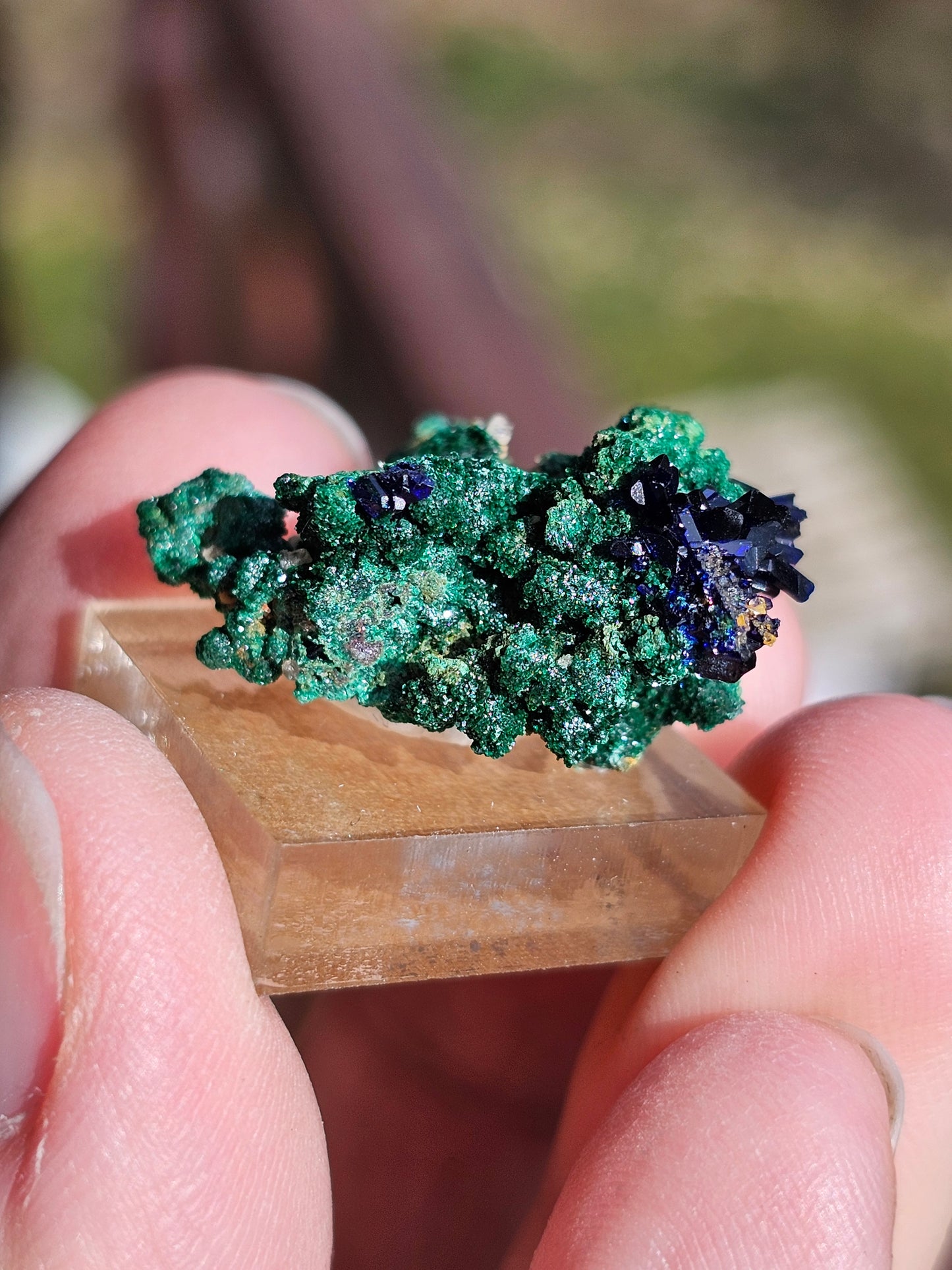 Azurite Malachite du Maroc AZ2
