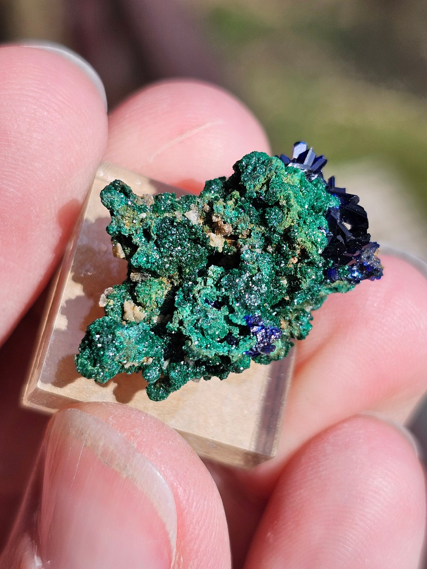 Azurite Malachite du Maroc AZ2
