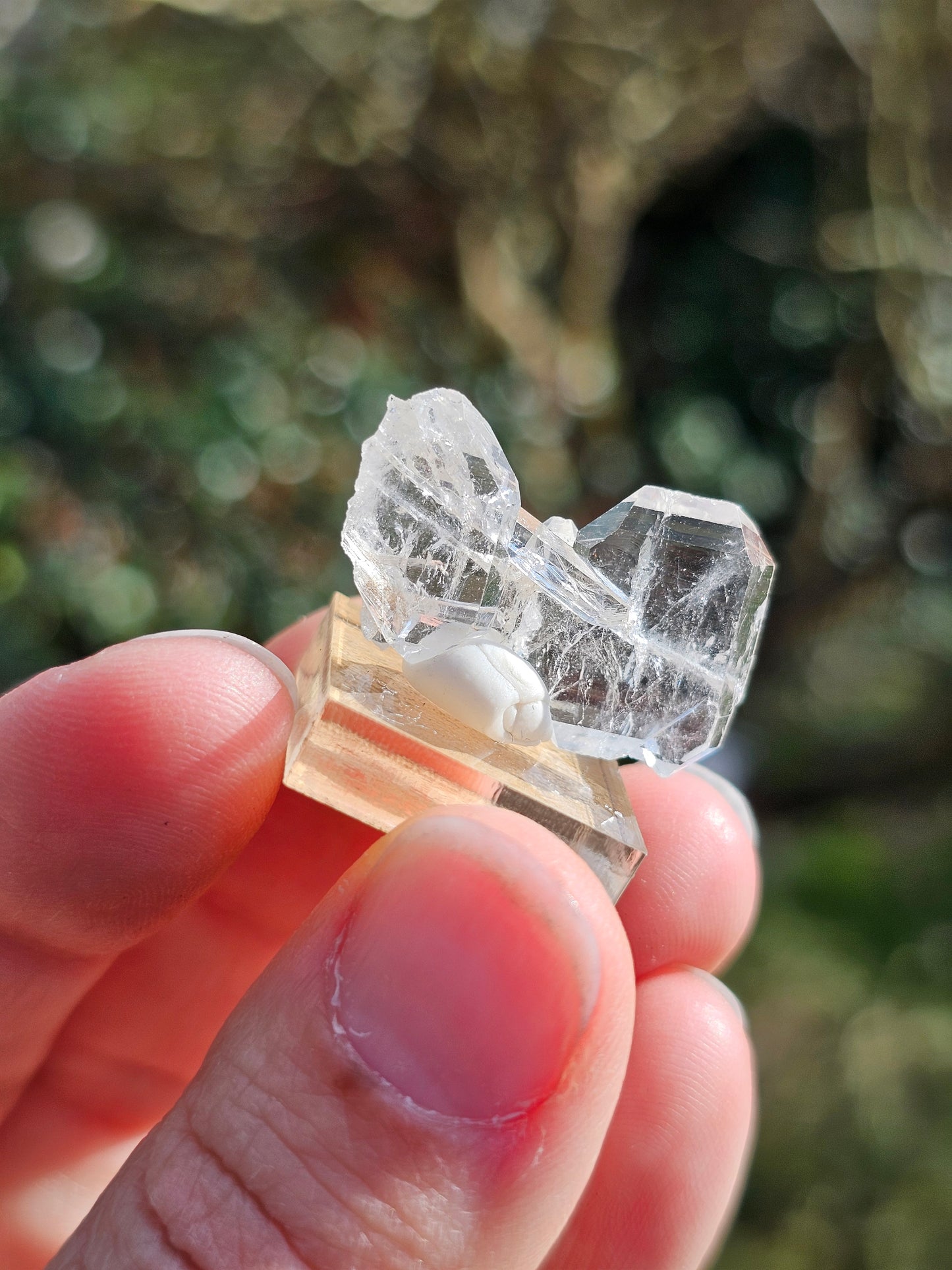 Quartz à âme n°17