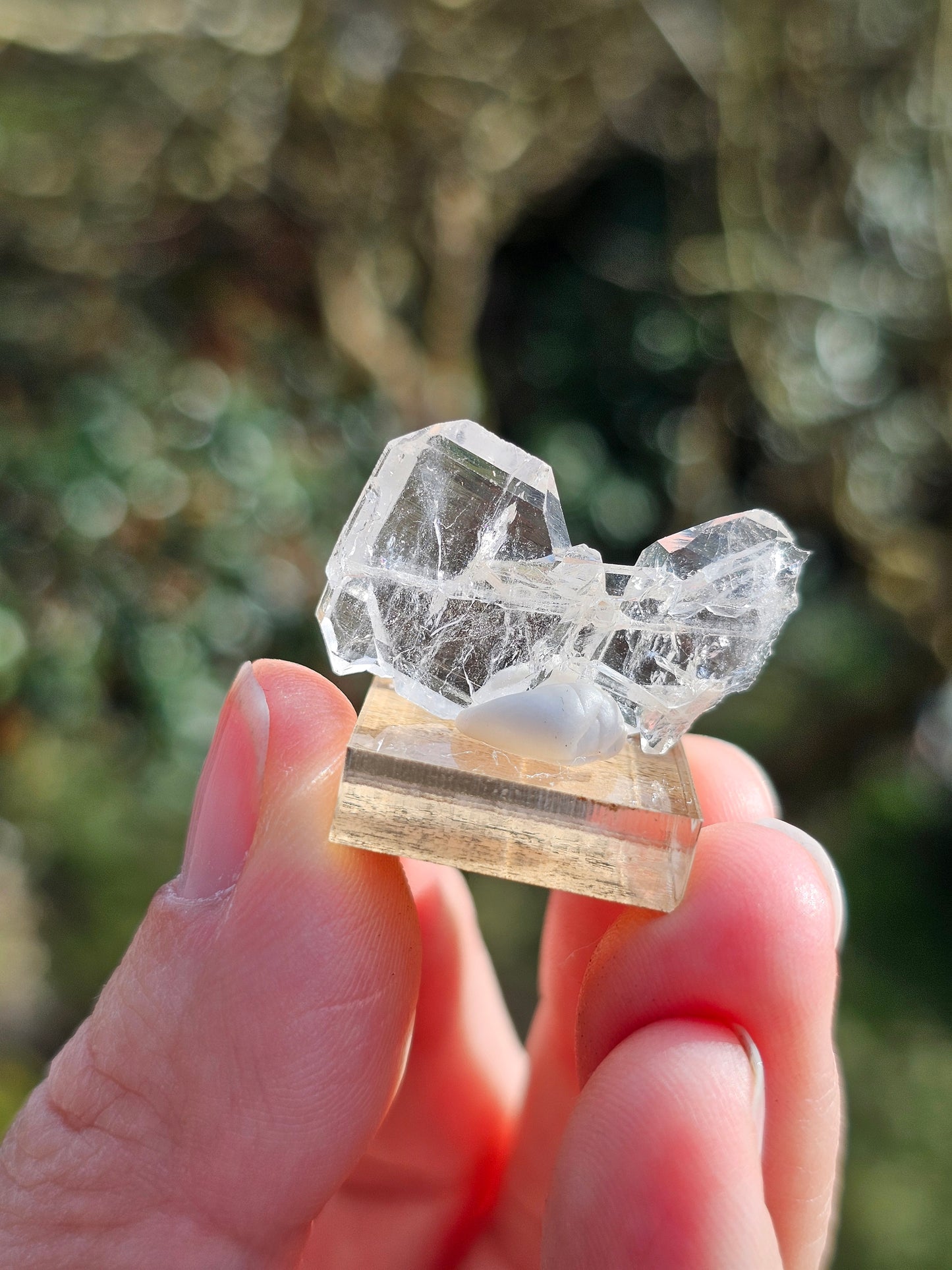Quartz à âme n°17