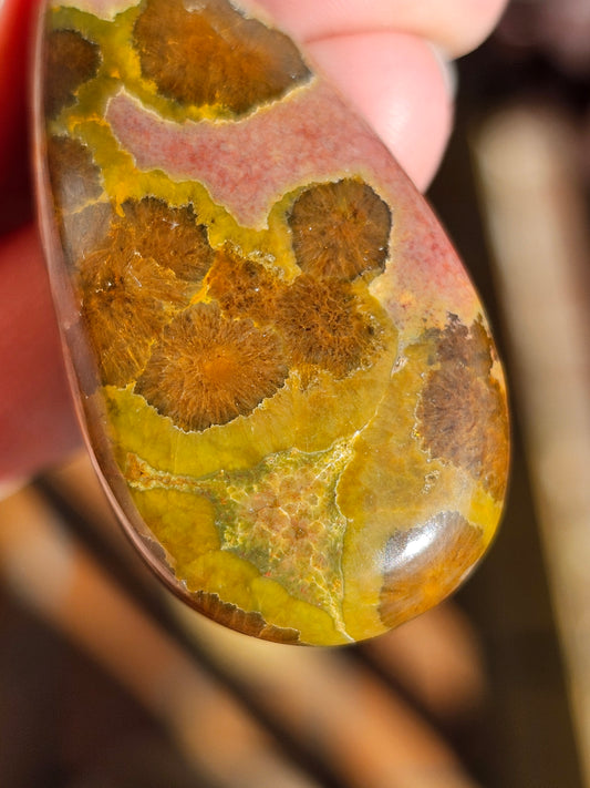 Pendentif en Jaspe orbiculaire n°7