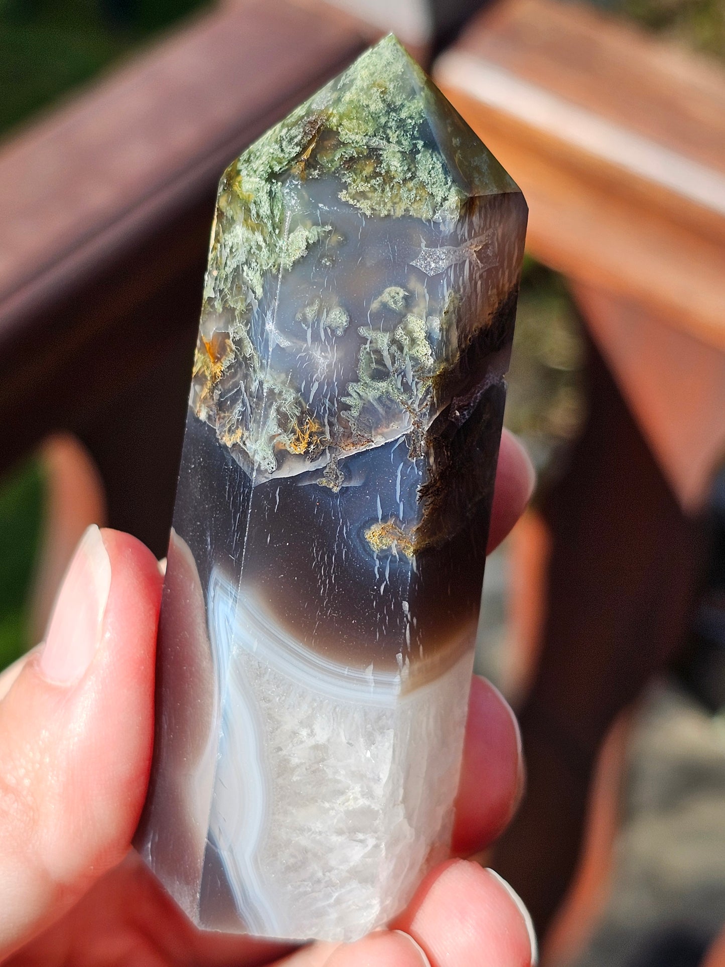 Pointe Agate mousse n°5