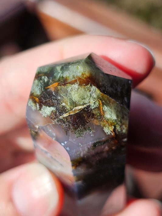 Pointe Agate mousse n°5