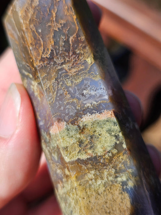 Pointe Agate mousse n°11