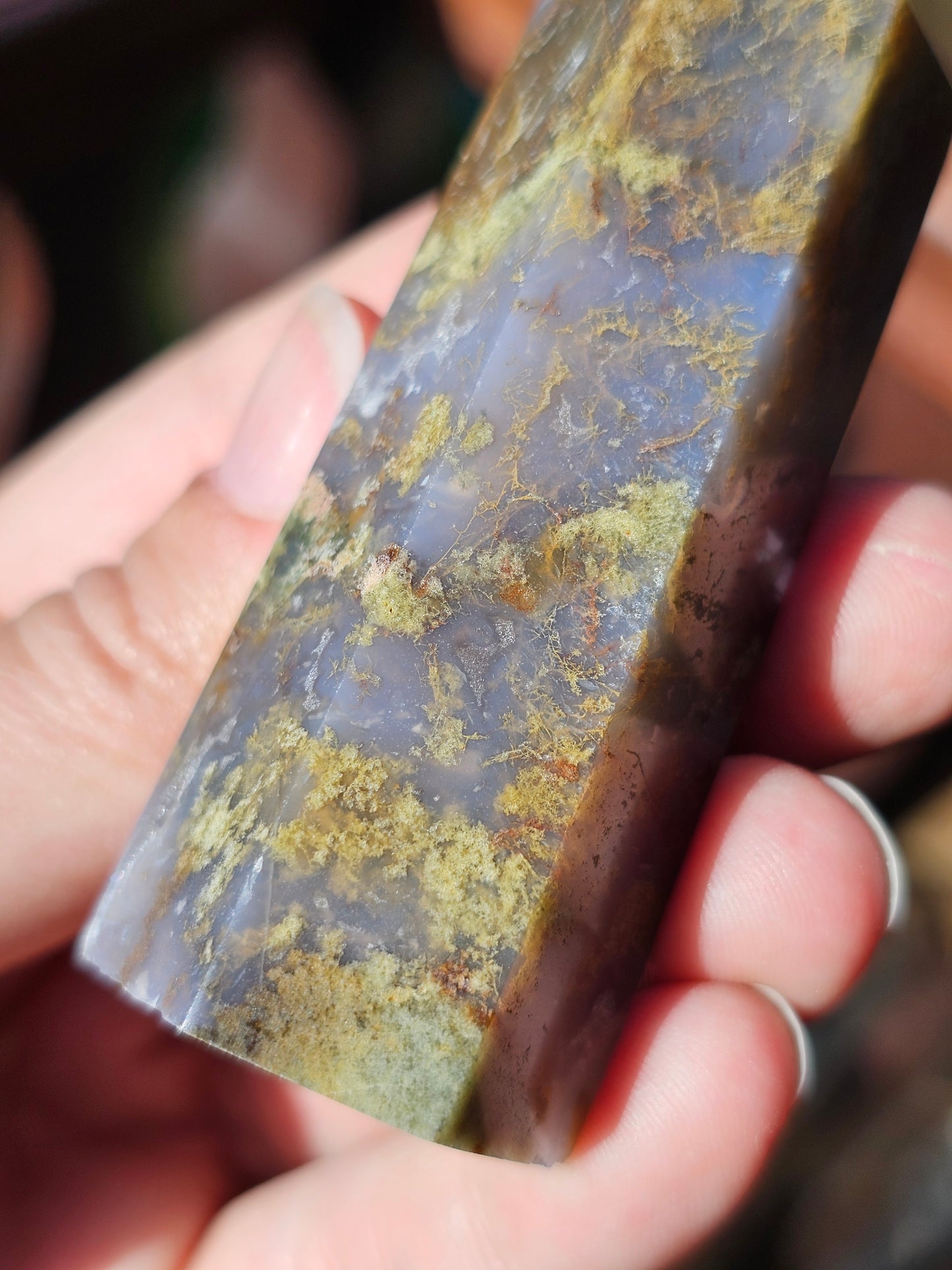 Pointe Agate mousse n°11