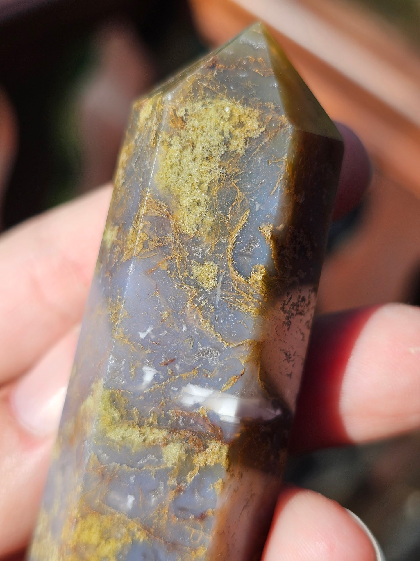 Pointe Agate mousse n°11