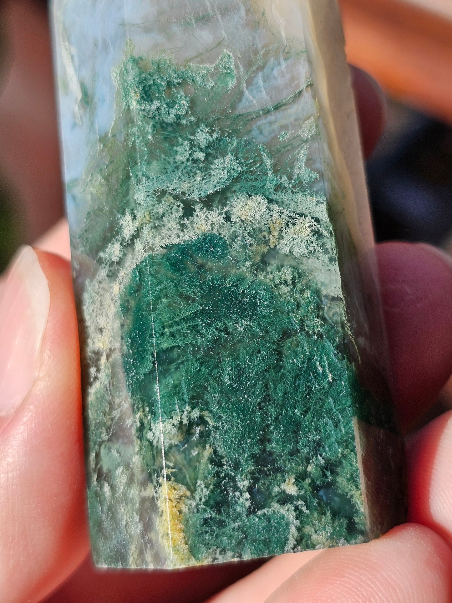 Pointe Agate mousse n°12