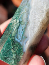 Pointe Agate mousse n°12