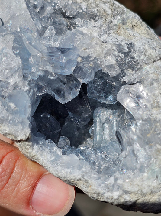 Géode de Célestine