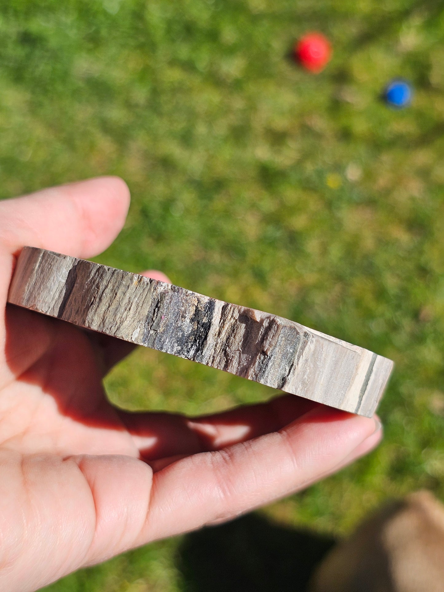 Tranche de Bois fossile n°6
