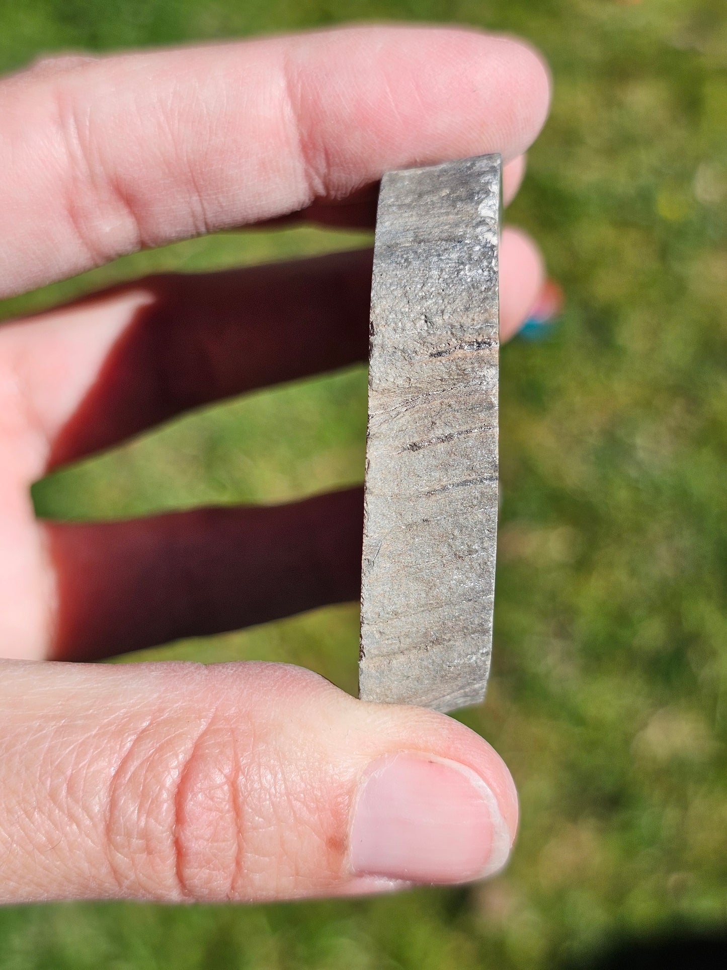 Tranche de Bois fossile n°14
