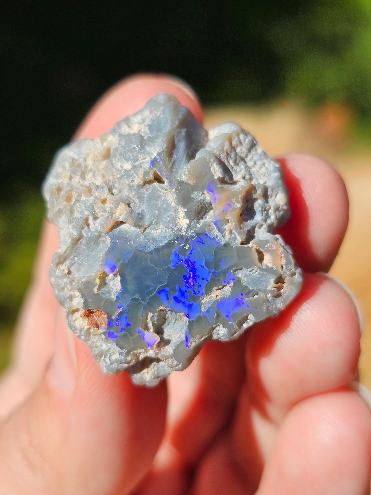 Opale Lightning Ridge semi noire d'Australie n°5