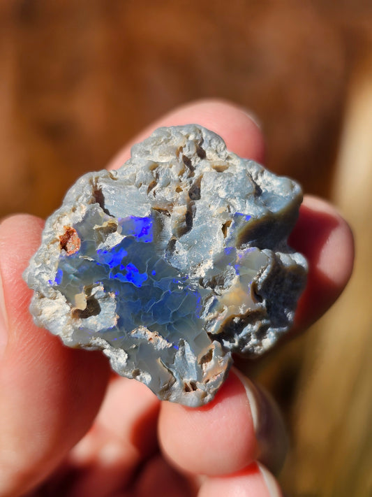 Opale Lightning Ridge semi noire d'Australie n°5