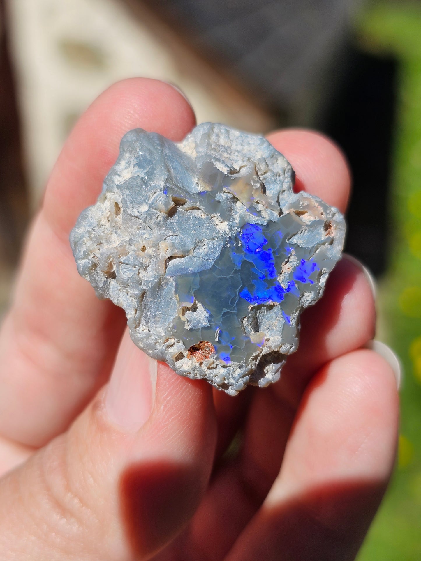 Opale Lightning Ridge semi noire d'Australie n°5