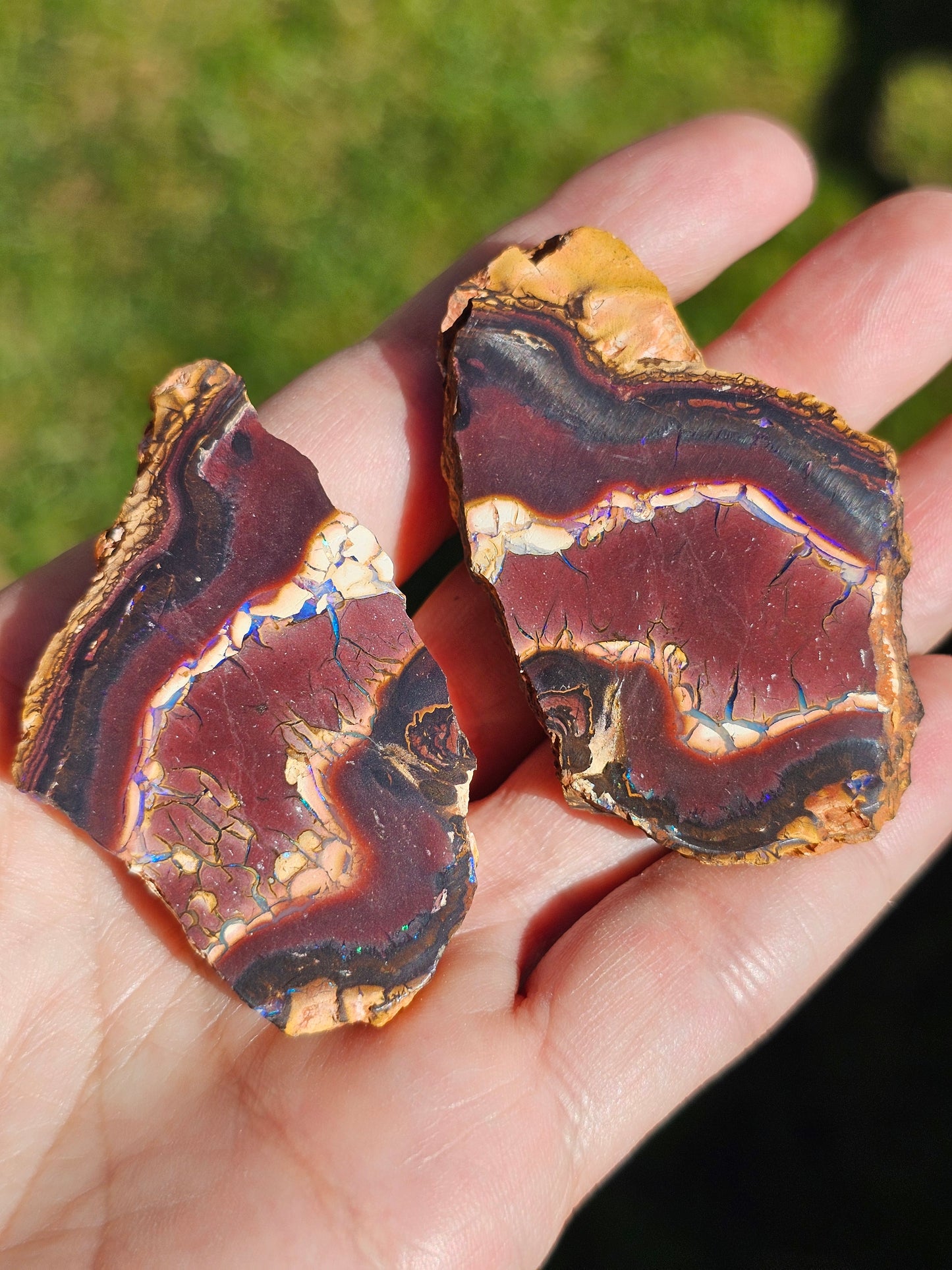 Paire d'Opales Boulder d'Australie