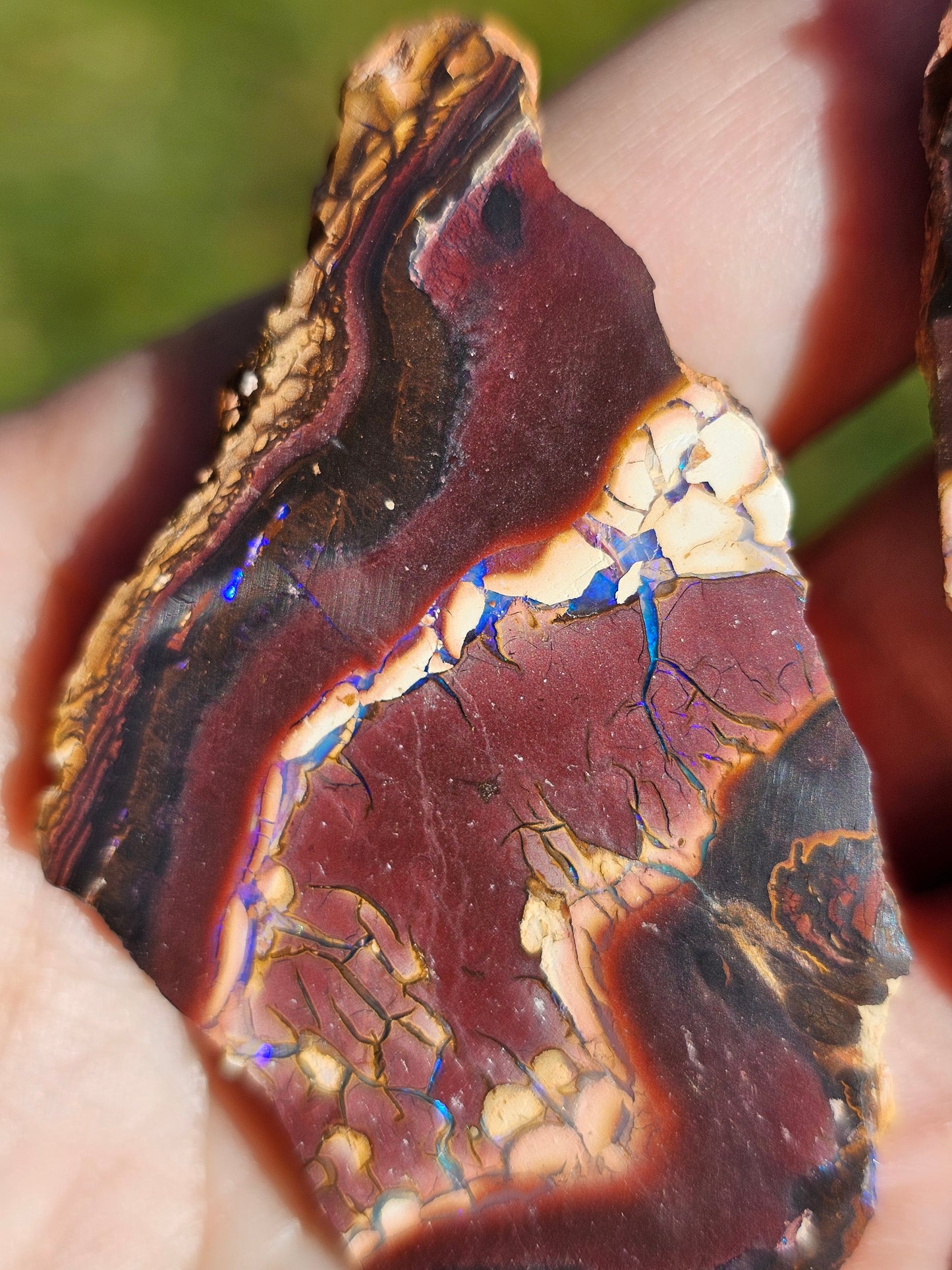 Paire d'Opales Boulder d'Australie