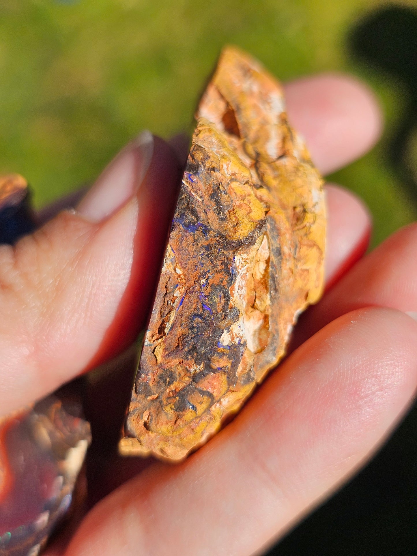 Paire d'Opales Boulder d'Australie