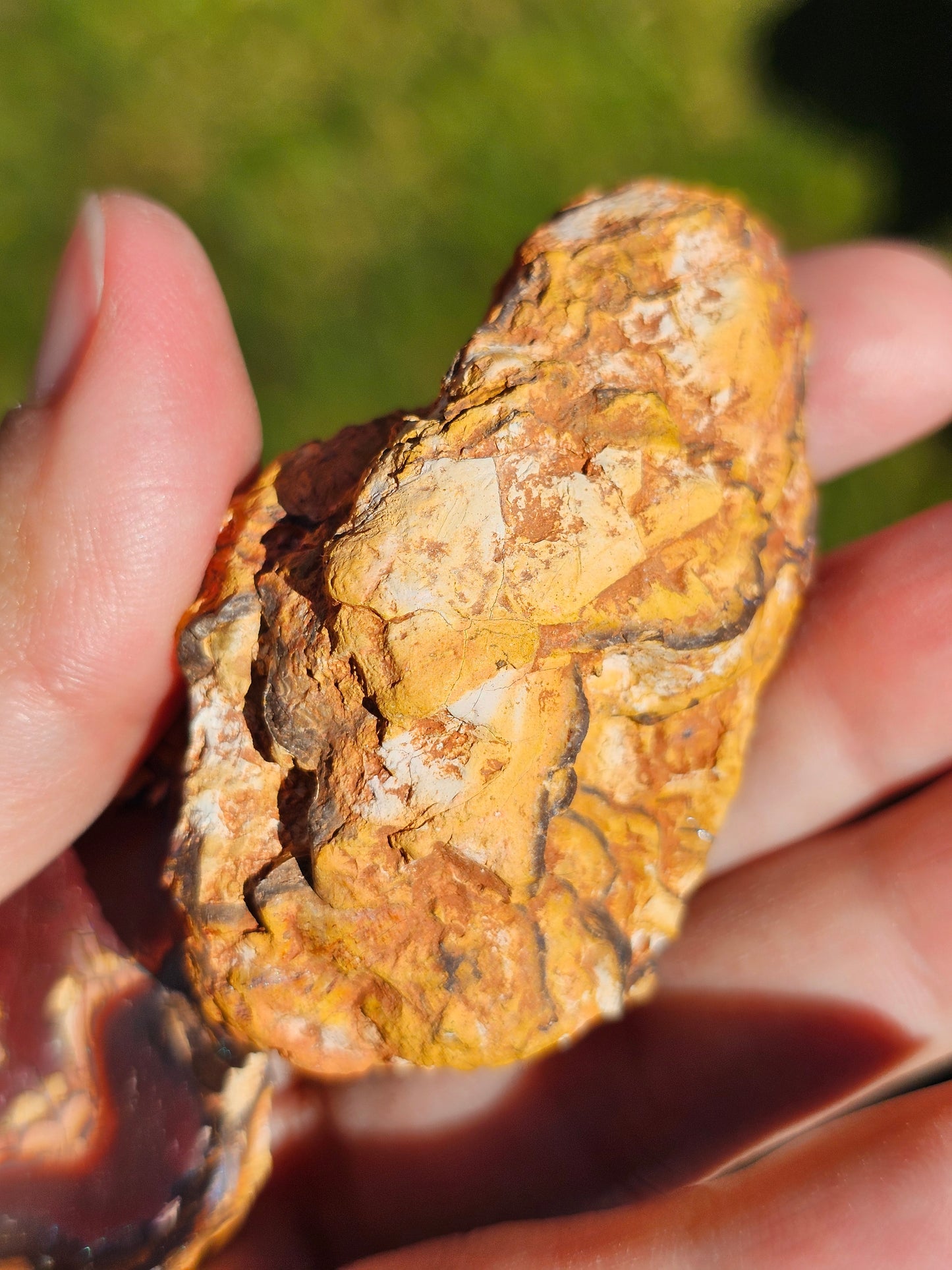 Paire d'Opales Boulder d'Australie