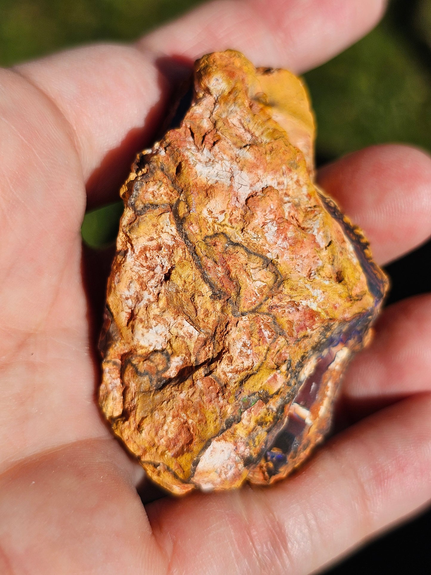 Paire d'Opales Boulder d'Australie