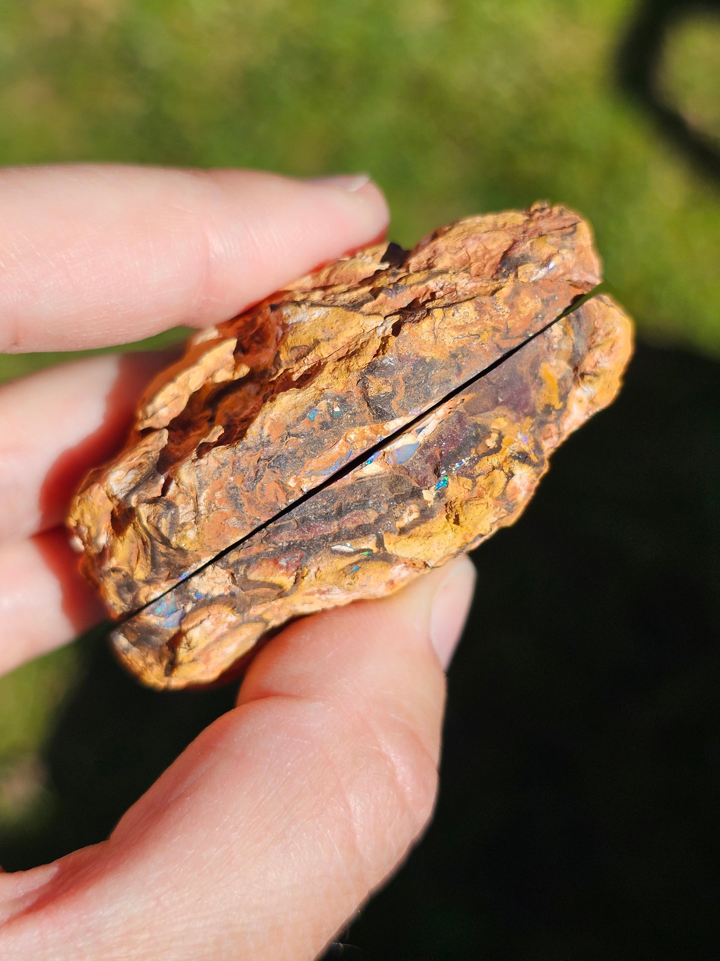 Paire d'Opales Boulder d'Australie