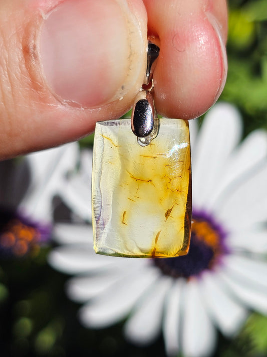 Pendentif en Ambre baltique n°1