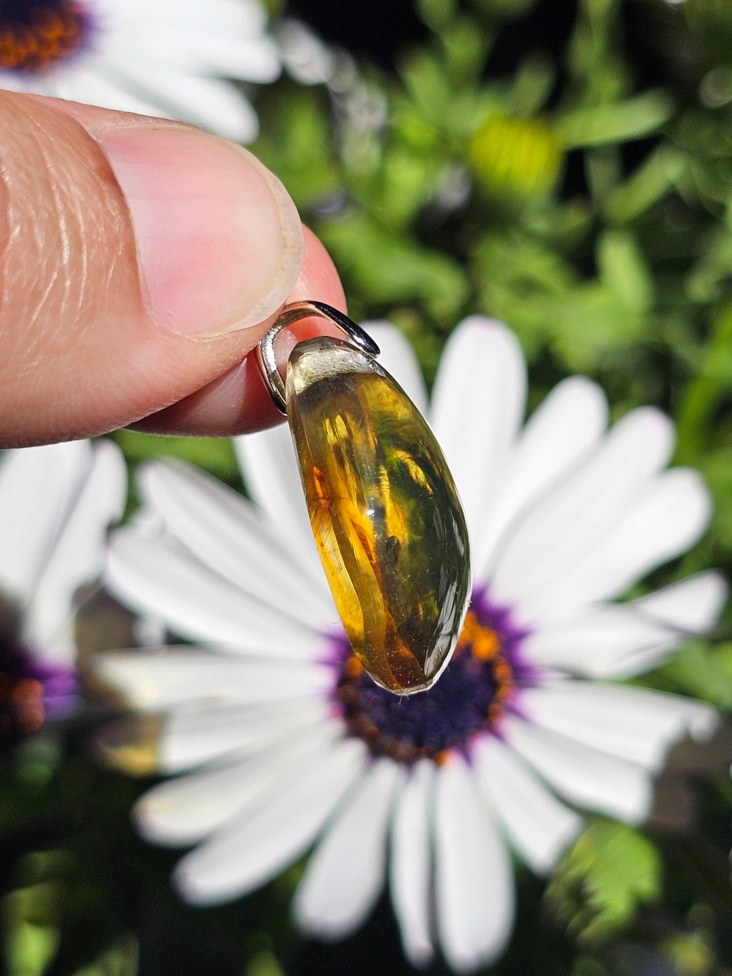 Pendentif en Ambre baltique n°5