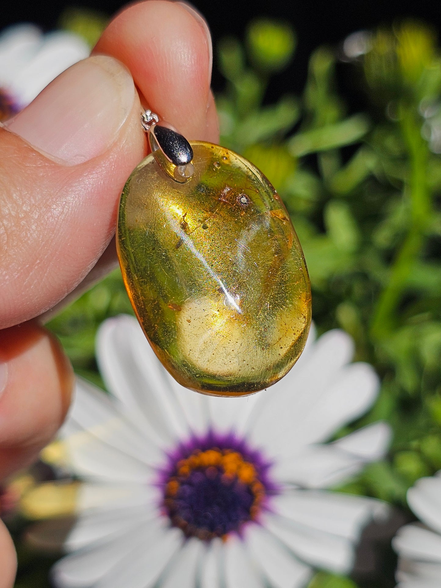 Pendentif en Ambre baltique n°6