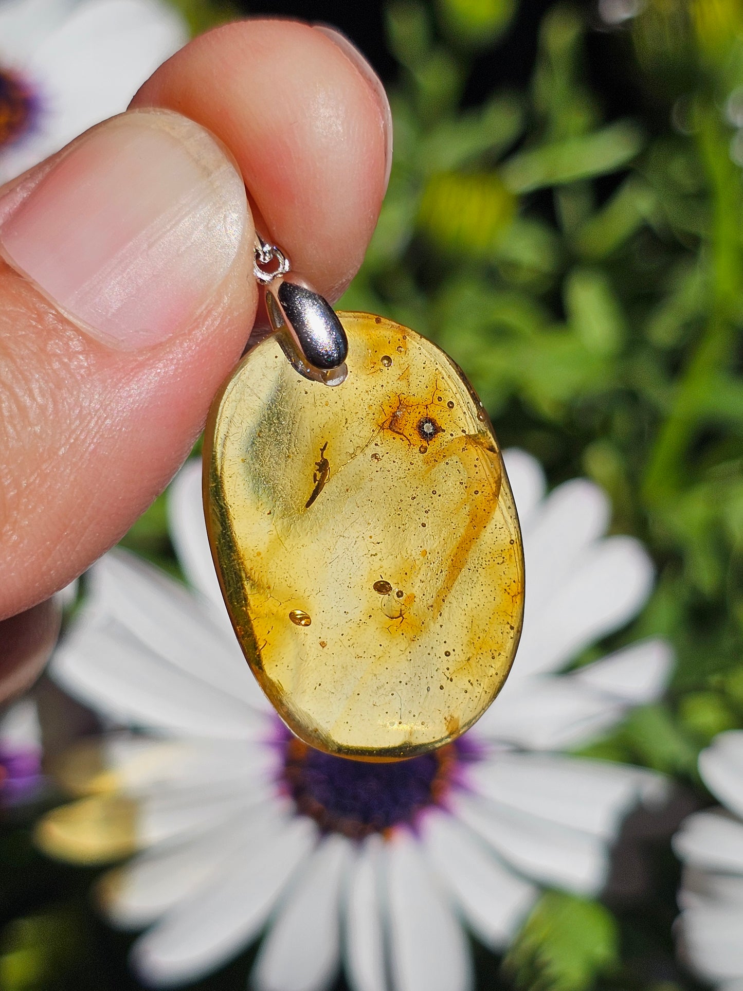 Pendentif en Ambre baltique n°6