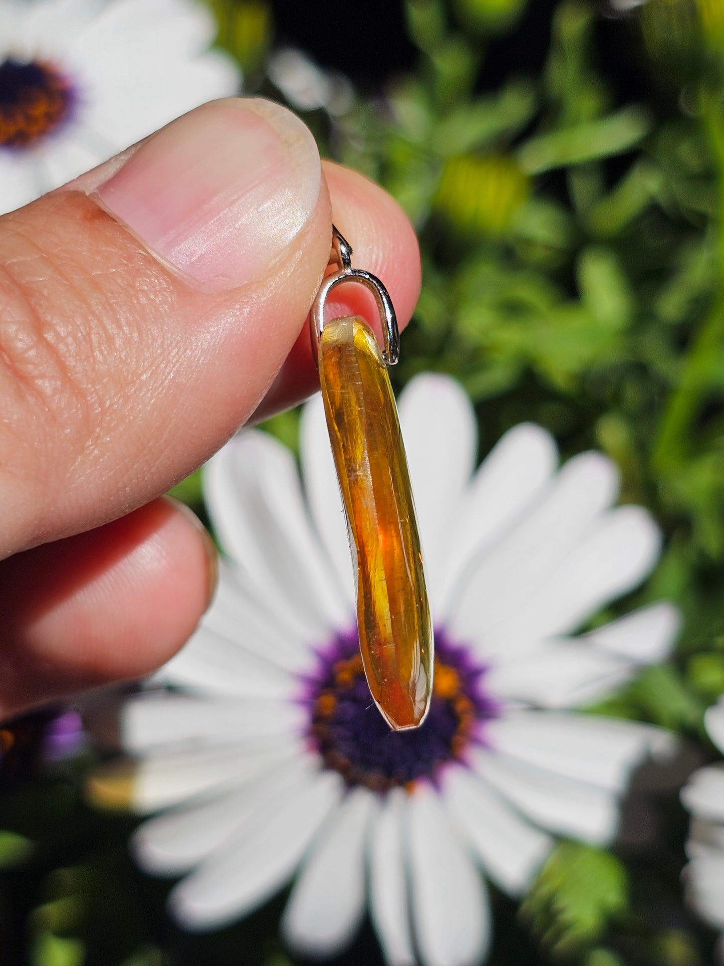Pendentif en Ambre baltique n°6