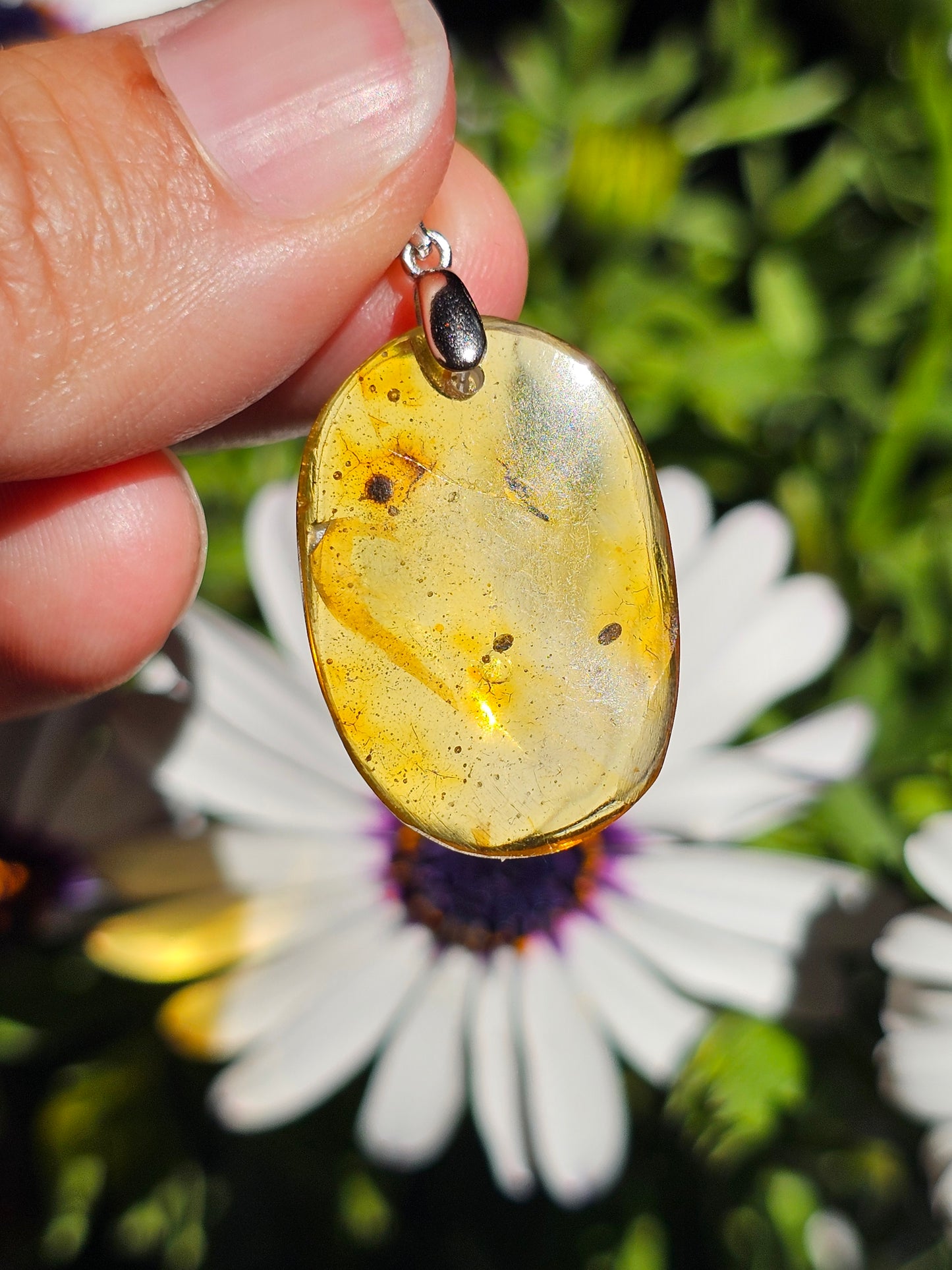 Pendentif en Ambre baltique n°6