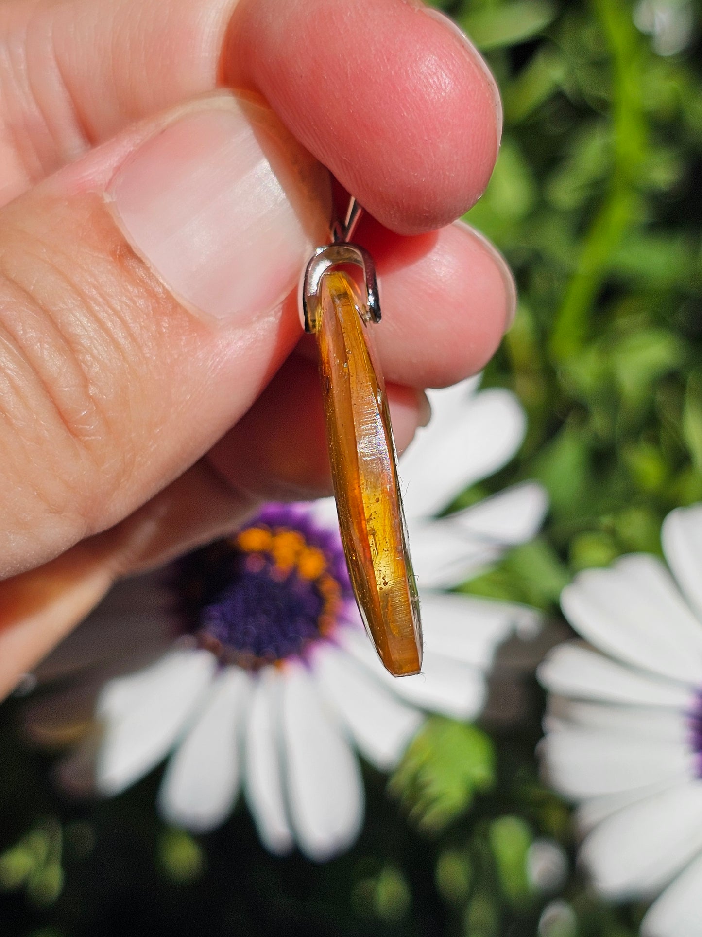 Pendentif en Ambre baltique n°6